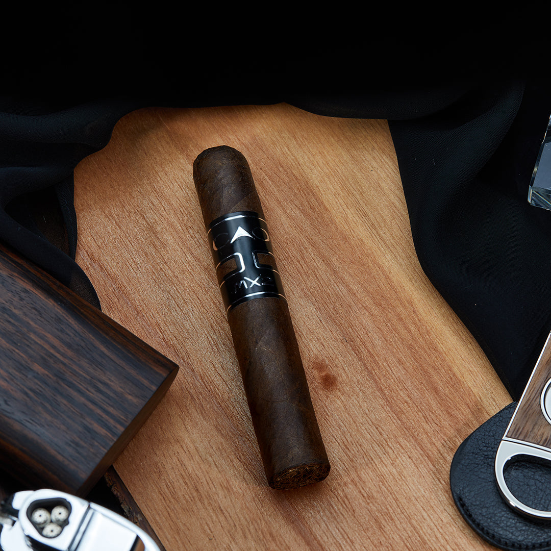 CAO-MX2-Robusto-Web-Square
