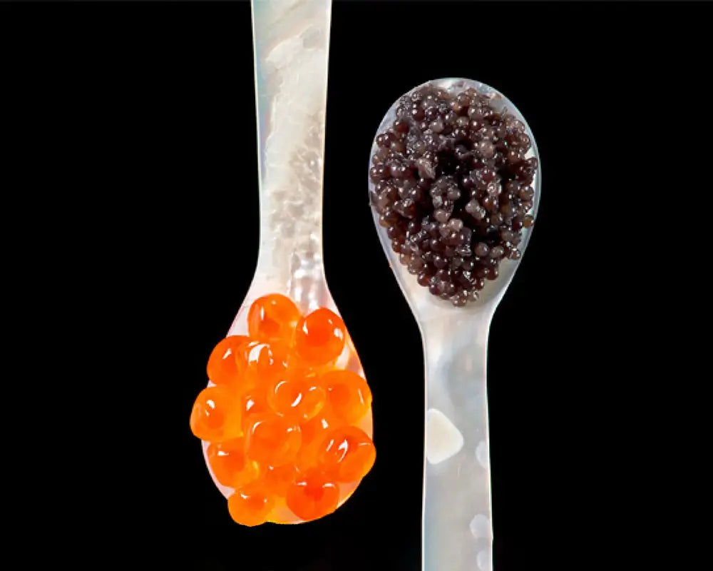 Giaveri Fresh Water Shell Caviar Spoon 5"